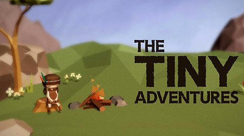 game pic for The tiny adventures